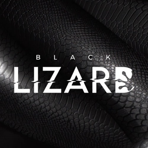 Black Lizard Records’s avatar