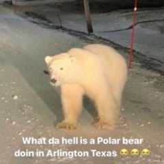 Kxjihnybeqn