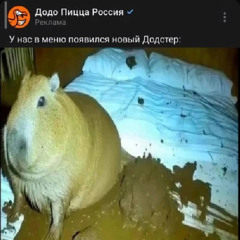 тратить очень много бабок