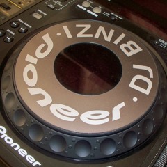 I am Binzi & DJ Step - Avicci - Levels - 2013