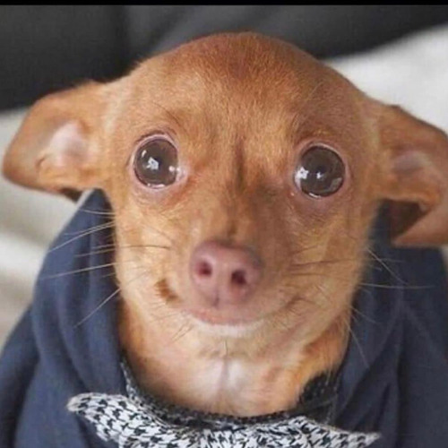 B.A.S.E - Don't Stop (Original Mix)  (1)