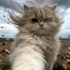 Back To Black Brook Lynn.mp3