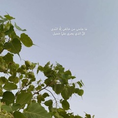 رحمة الشيخ