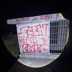 SCEM A CHI?