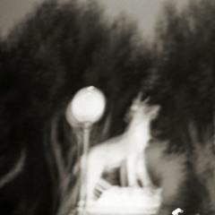 awӝwa
