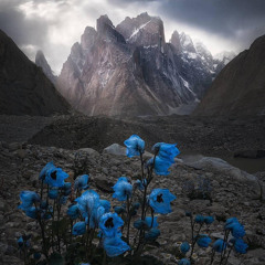 Zahid ismail