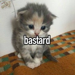 vcxxxxxxxxxxx