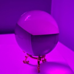 The Fortune Teller