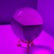The Fortune Teller