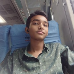 Mahmudul Hasan Apon