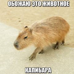 sikazavr