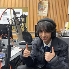 ElvisVinmusic