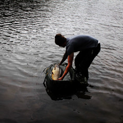 Shane Glover