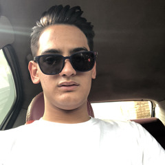 mohammad shafii