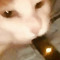 lil_pothole_stew