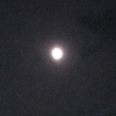 sawara