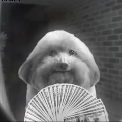 moneymane