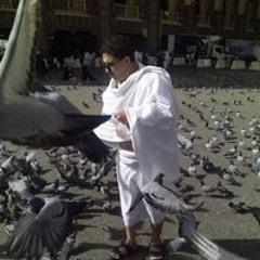 Ahmed Solaiman
