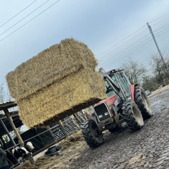 Big Noah🤠🫳🚜🇬🇧