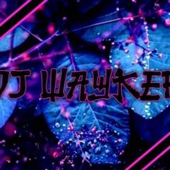 DJ WAYKER