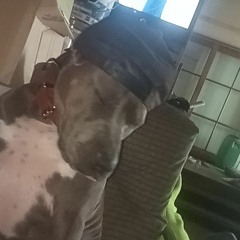 shazza