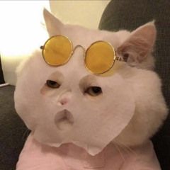 WHIS DOGE ?