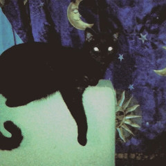 nightadorn