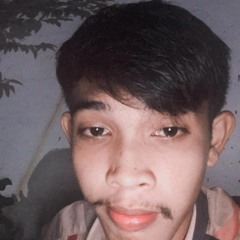 Vid SM