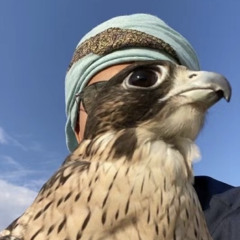 FM🇦🇪