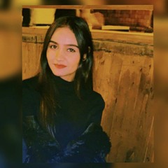 zainab wajid