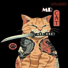 Mr.Cat