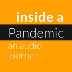 Inside a Pandemic