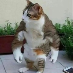 ‎