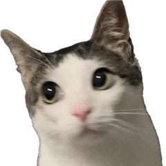 Dayalreyliz3