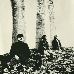 It Came From Beneath