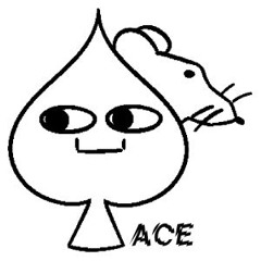 ace corp