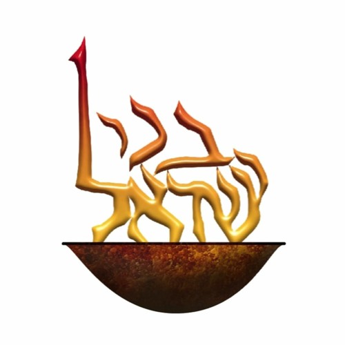 Congregation B'nai Israel’s avatar