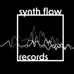 synth flow records