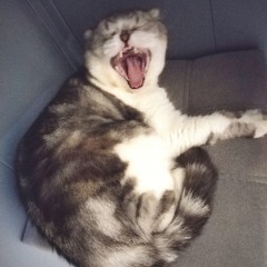 Linara