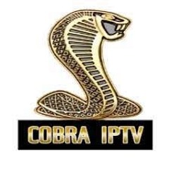 cobraiptvinfo