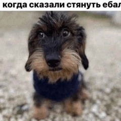 perdozavimasкурва
