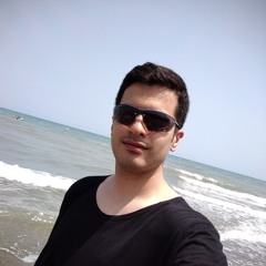 Hesam M