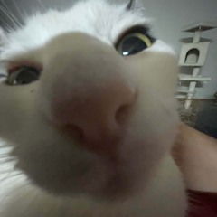 HARTEM