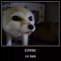 someone_called_marcel