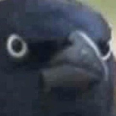 xFuckingAssholesXD