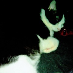 Jess