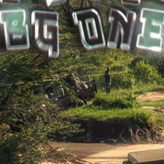 Bg01
