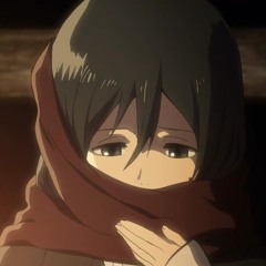 Mikasa