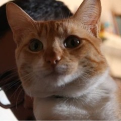 Bernardo