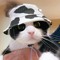 GHevil_71